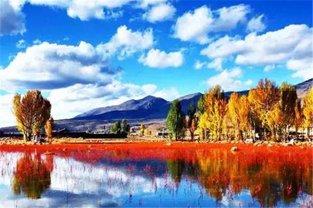 雙凱智能：說走就走旅行？有TA更輕松